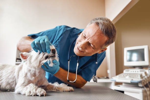 Best Pediatric Emergency Dentist in Singac, NJ